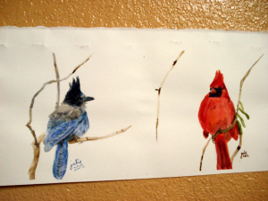 Stellars Jay and Red Cardinal